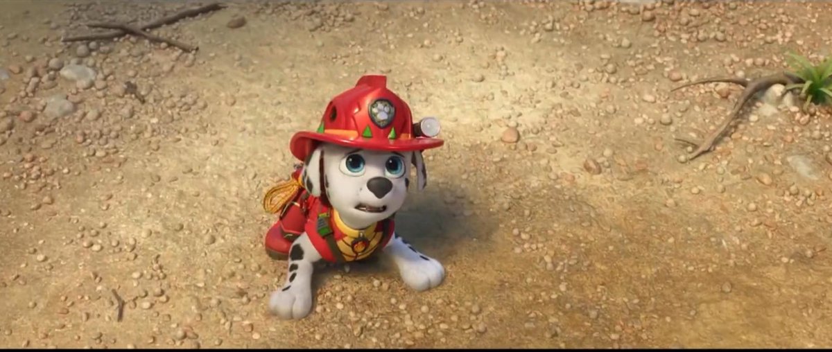 Rocky1953958332's tweet photo. Marshall🔥#PawPatrol https://t.co/SyJemcw5RZ