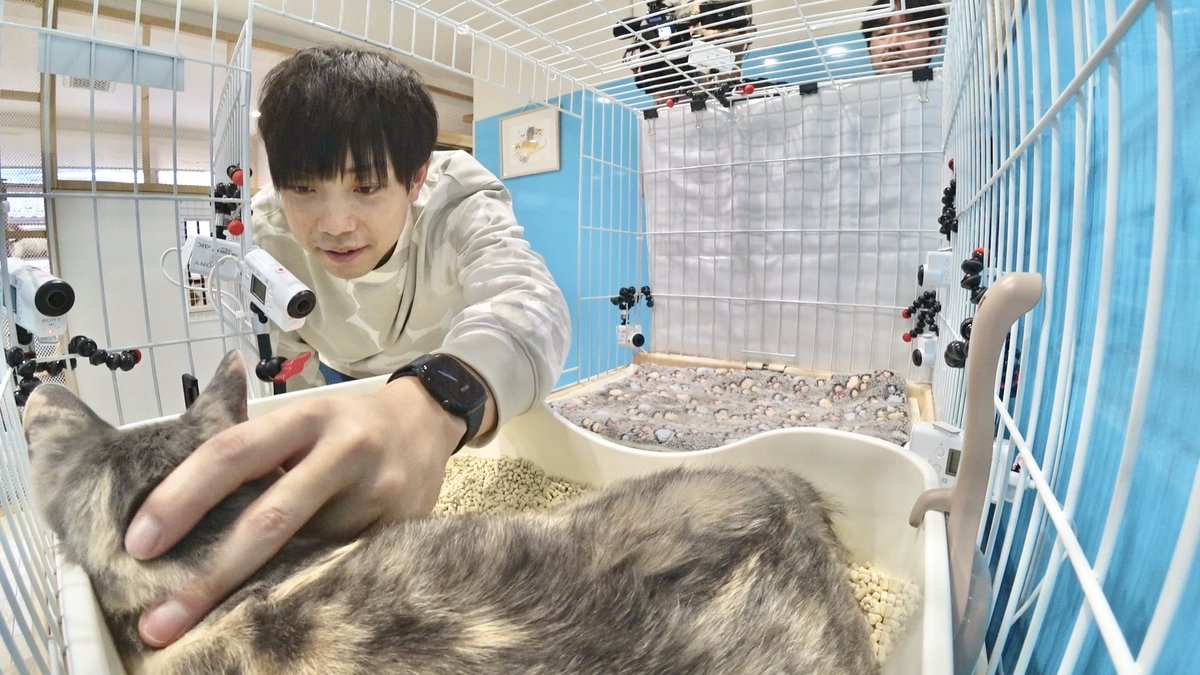 minnano_zoo_ntv's tweet photo. 本日8/25は、ニャレ兄こと
ティモンディ前田さんのお誕生日🎂❤️

７月に卒業した子猫「ワカメ」を含め、
預かりボランティアを通して4匹を
新しい家族へと送り出してきた前田さん✨

素敵な1年になりますように🍀
お誕生日おめでとうございます!!!

#HappyBirthday
#嗚呼みんなの動物園 https://t.co/qWCoKmguKl