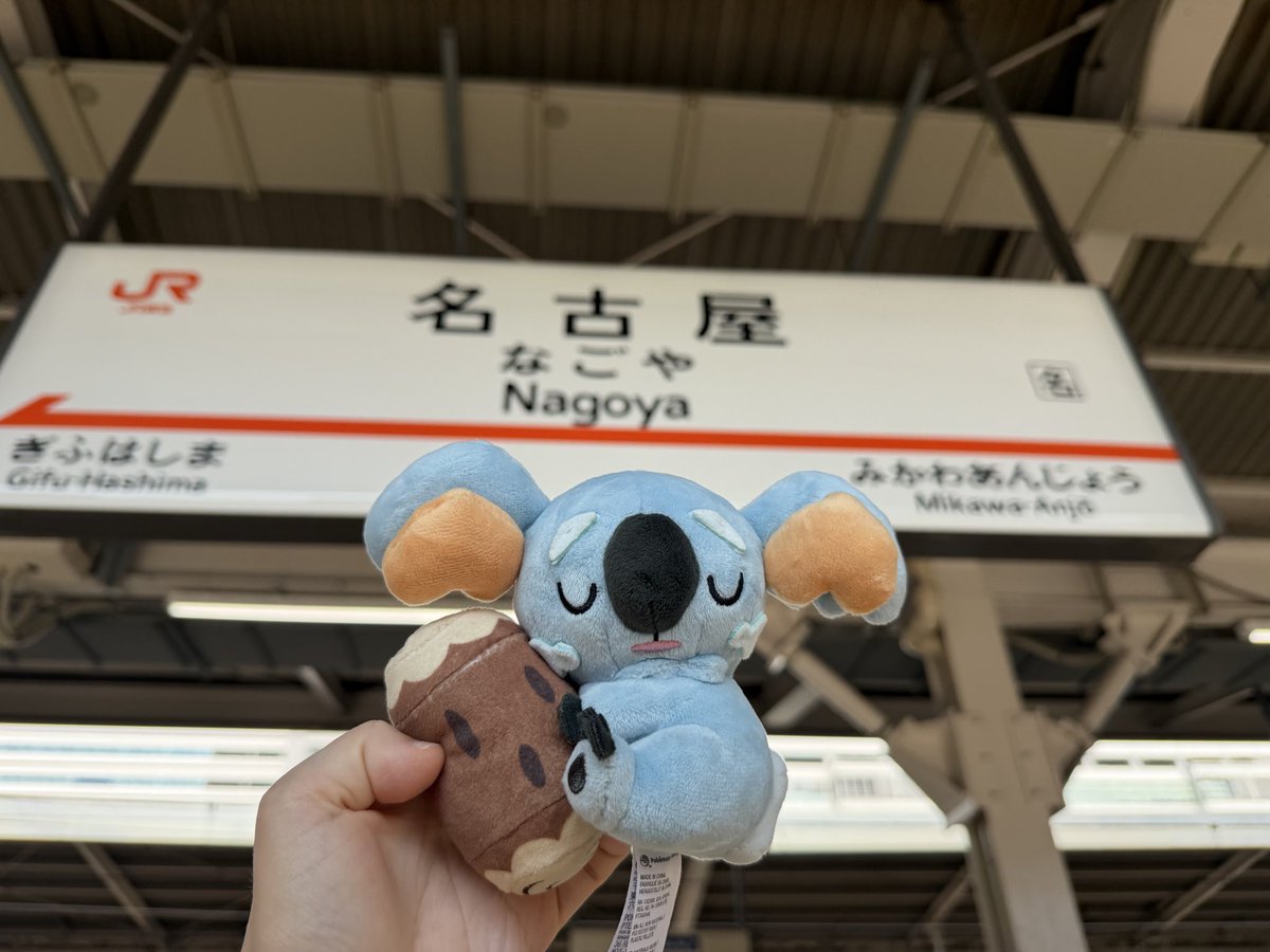 tigersnbom's tweet photo. 今日はナゴドから〜〜🤍
推しポケモンのネッコアラを連れて🩵 https://t.co/ST349IMRop