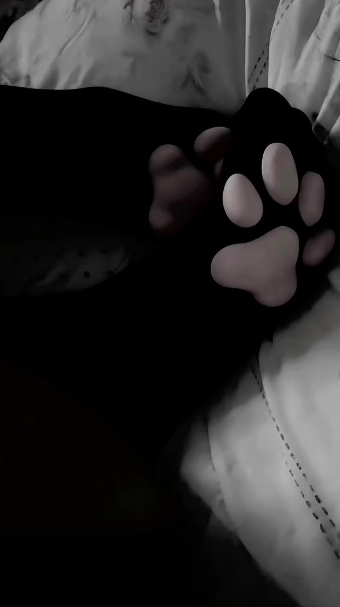 bunni5zm's tweet photo. Does anyone still fw pawsocks? 👀
#nsfwtwt #esex #egirl #seller #cnc https://t.co/O9CxKWgjmf