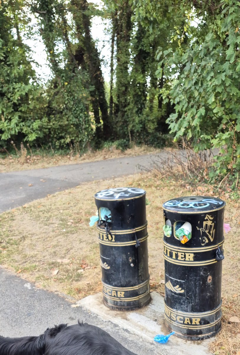 ClappySeal's tweet photo. @dlrcc doing its thing !!

Probably waiting for fuel prices to go down before they send anyone out

Cracking business model 🙃

#theydontcare
#dublin
#failteireland
@Failte_Ireland https://t.co/vGE9DLfChs