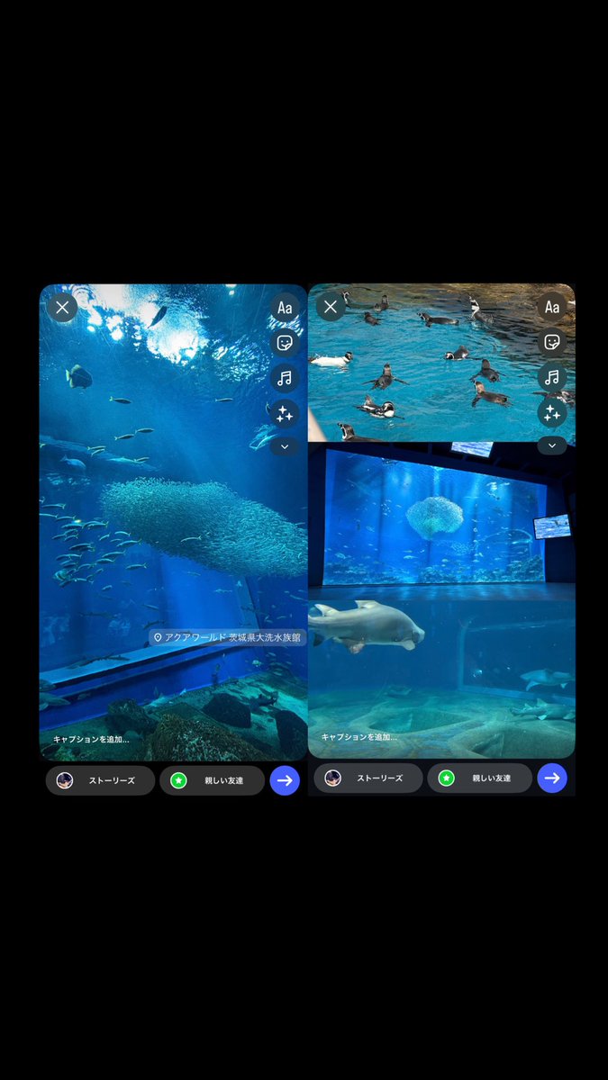 misa_ringojam05's tweet photo. DearのMV撮影地、茨城県の大洗水族館に行ってきました🐠
水槽がとても綺麗で、館内が広くて、お魚もいっぱいいて、とっても楽しく、3時間くらいいました!
また行きたいです👍🏻🌟
#MrsꓸGREENAPPLE #ミセスグリーンアップル #Dear #大洗水族館 https://t.co/nFEJOAlhsV