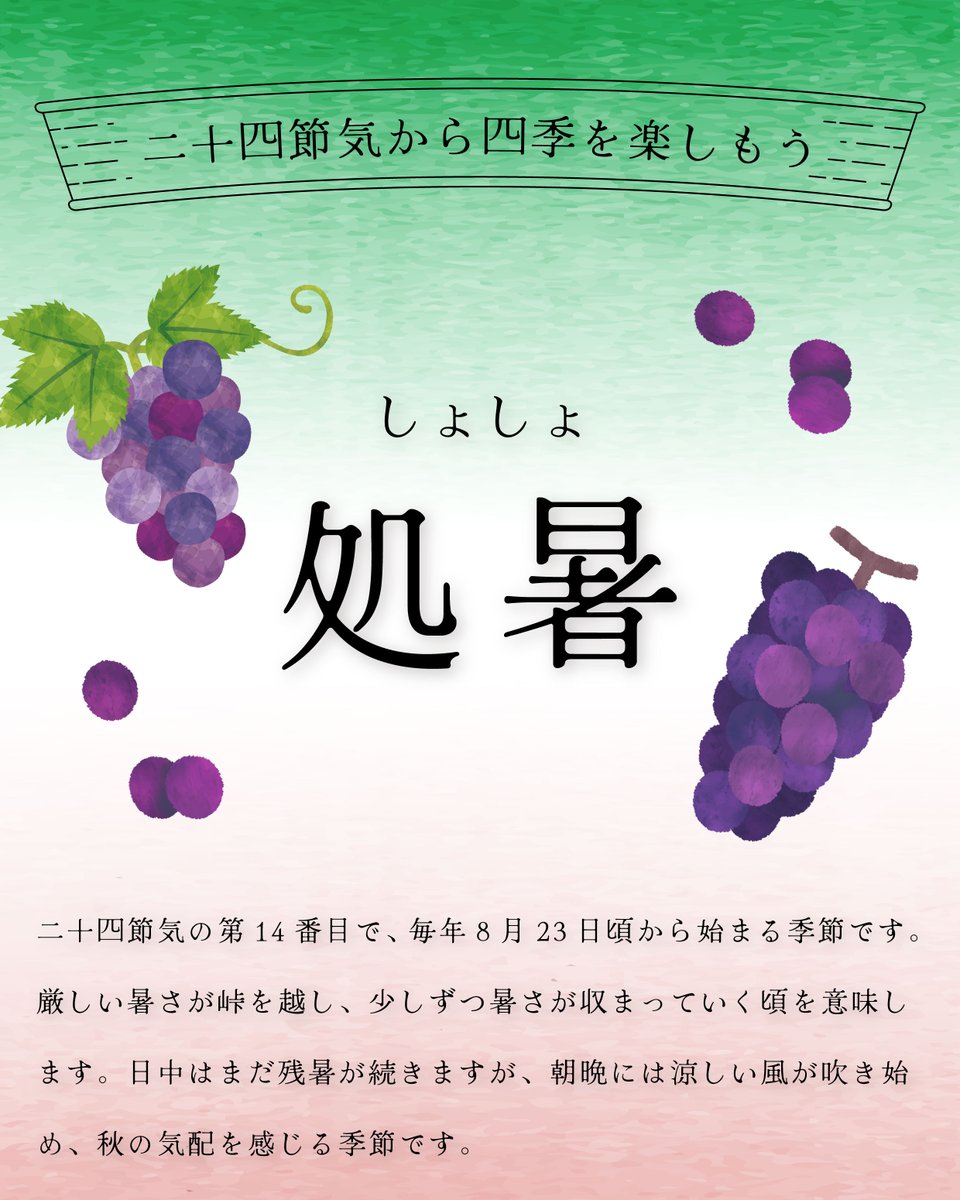 eizenjp's tweet photo. 8/23頃からは「処暑（しょしょ）」🍂

夏の疲れも出やすい時期なので、旬の味覚を楽しみながらゆっくり過ごしたいですね🍇

#御朱印帳 #二十四節気 https://t.co/mEZZAudFIp