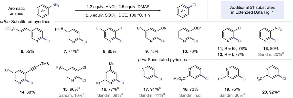 JamesLipvuk's tweet photo. Xia-Heng Zhang’s team uncovered a new role for N-nitrosamines in aromatic amine functionalisation.

Nitric acid-mediated N₂O extrusion converts aromatic C–N bonds into C–Cl, C–Br, C–I and C–C bonds, providing a versatile route to diversify aromatic molecules.

#Chemistry https://t.co/cHGhmYVpty