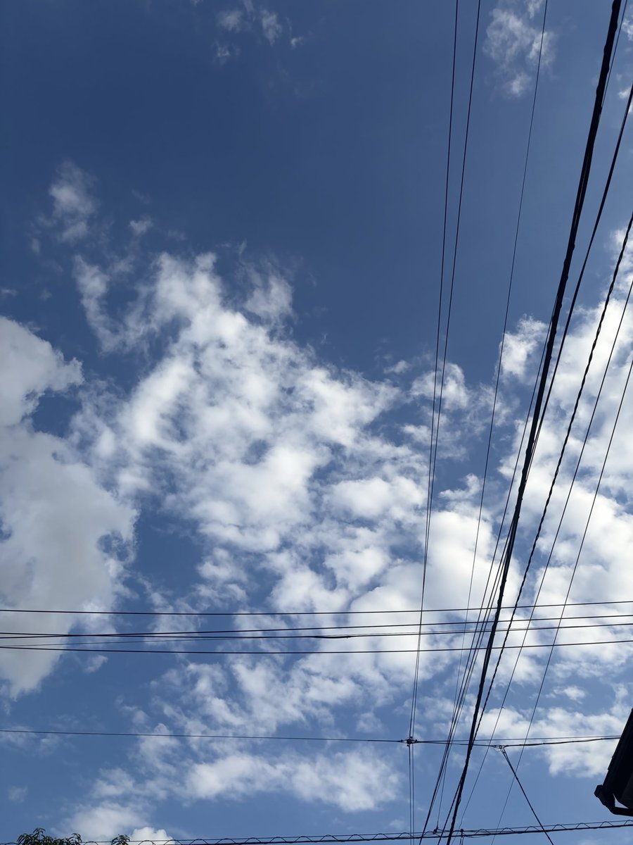 AV_dailywork's tweet photo. 天気がいいだけでいつもより頑張れる☀️ https://t.co/ekQnZnzJqJ