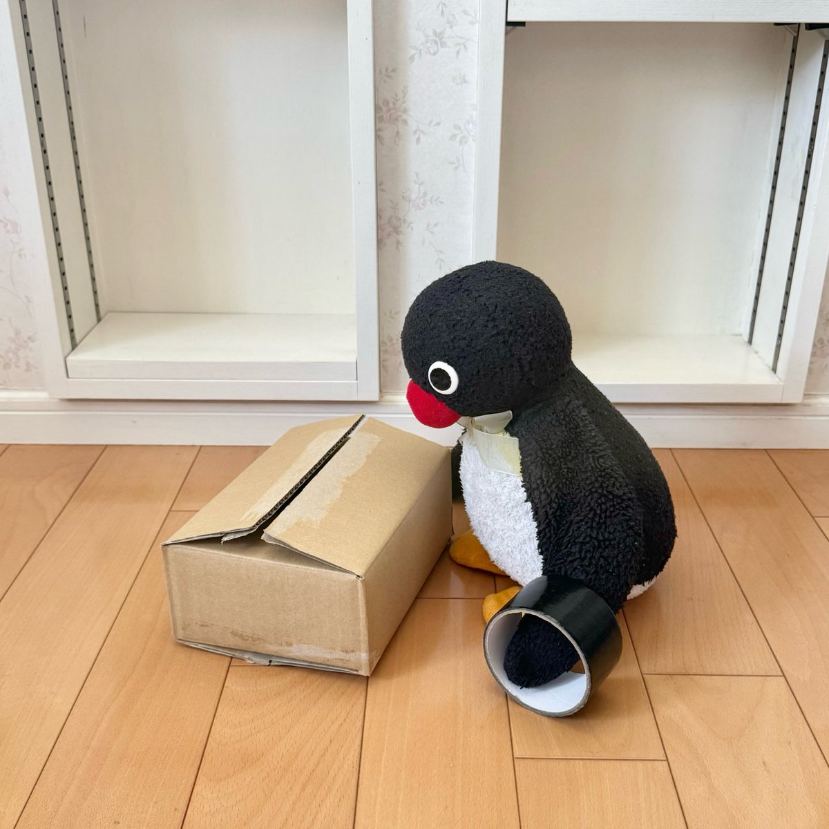 pingmyping's tweet photo. 🐧📦 https://t.co/xmghxcl896
