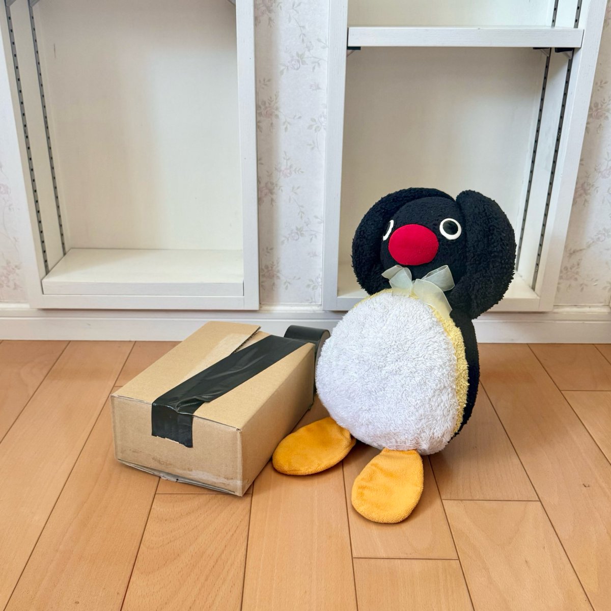 pingmyping's tweet photo. 🐧📦 https://t.co/xmghxcl896