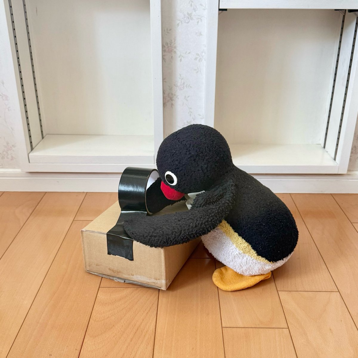 pingmyping's tweet photo. 🐧📦 https://t.co/xmghxcl896