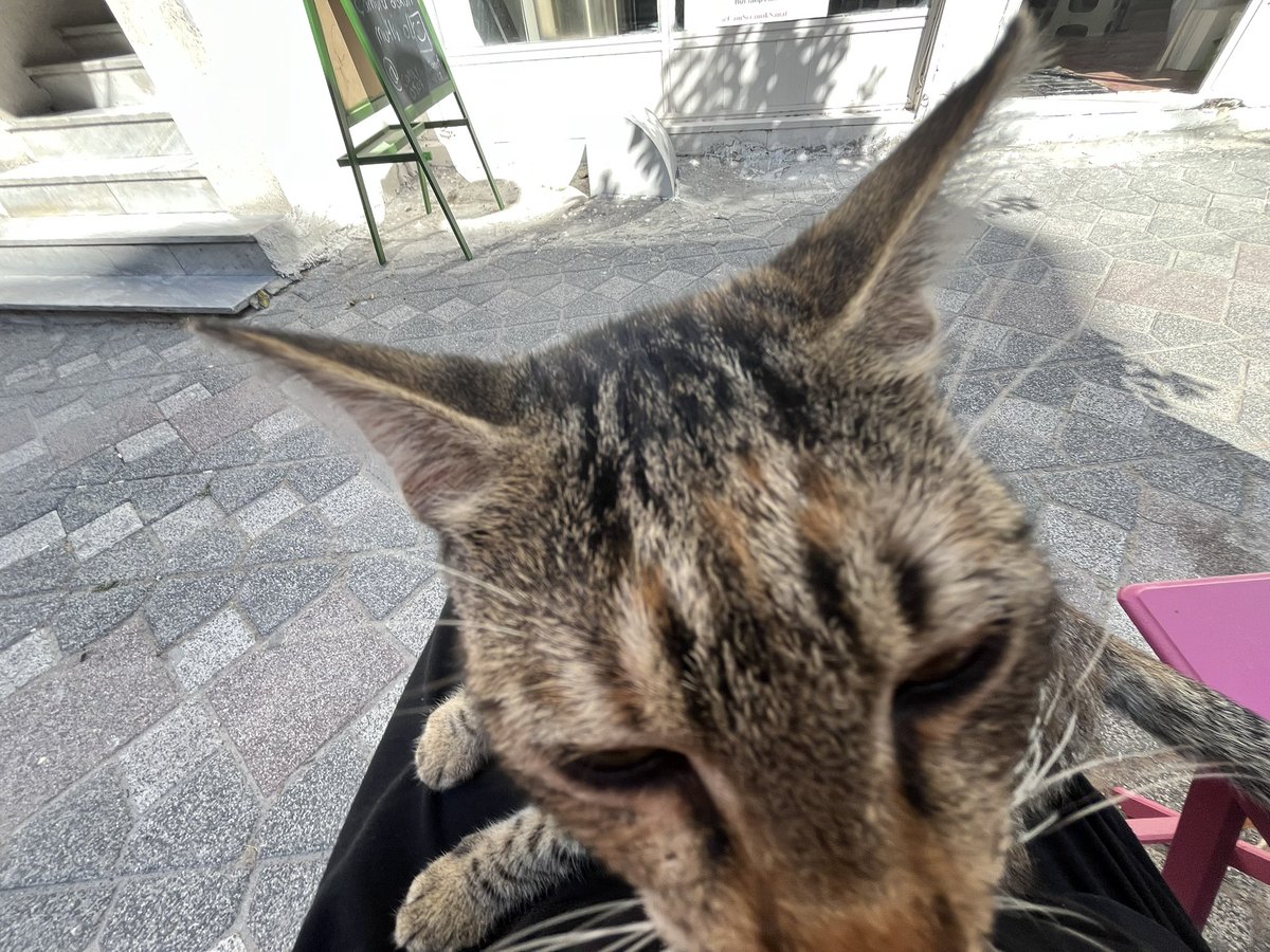 ze1n7p's tweet photo. gave me a kiss 🙂‍↕️ https://t.co/Pkp5bpBu1C