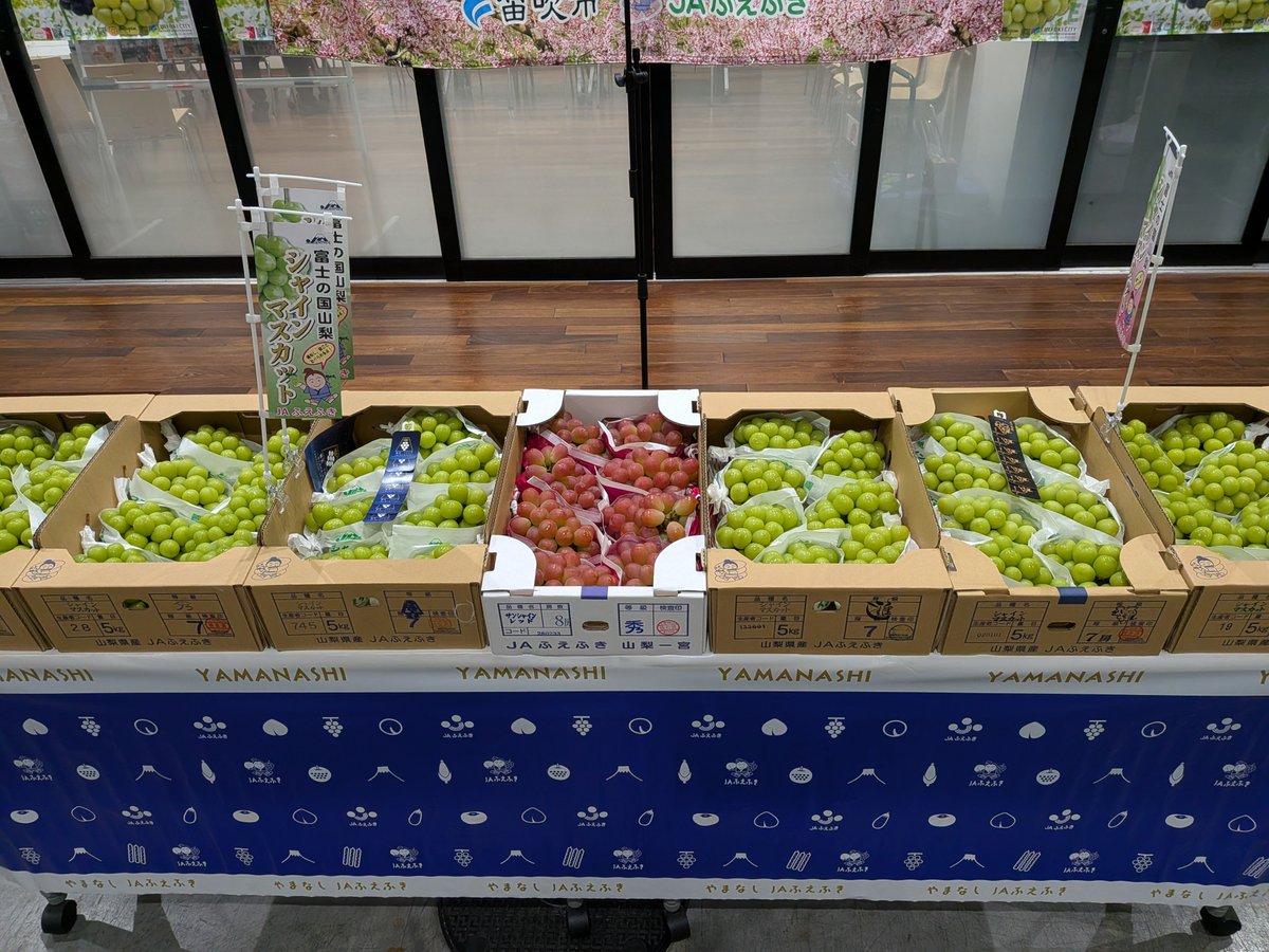 gisyun's tweet photo. 今朝の豊洲市場青果部、山梨県よりJA笛吹さんと山下笛吹市長が「笛吹フェア シャインマスカット」開催でご来場♫　山下市長はいつでも元気100%　早川組合長共々力強いトップセールスでした。シャインマスカットの大盤振る舞いありがとうございました❗ #政義青果  #JA笛吹 #山下政樹 #東京シティ青果 https://t.co/q1IqfXEN0m