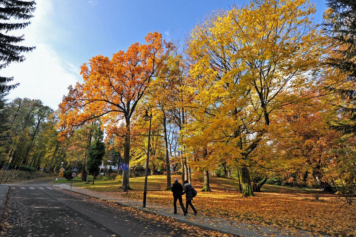 UZdroj's tweet photo. 🍂 Pomyśl jesienią o sobie!

Październik to dobry czas, by zwolnić, zadbać o zdrowie i zregenerować siły. 💚
Skorzystaj z 15% rabatu na pobyty z 3 lub 4 zabiegami dziennie w pokojach Standard.
https://t.co/wqkcdoqDAW
https://t.co/3yRQ5PEg17

🍁 Jesień w Górach Izerskich czeka! https://t.co/zIHGb5CSJk