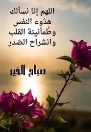 Raquellerr's tweet photo. اللّهم احفظنا من عيونٍ تترقب، ونفوسٍ تحسد، وقلوبٍ تضمر الشر. اكفنا يا رب شرار خلقك، واجعلنا في حياض حفظك وأمانك .

 صباح الخير صباح البهجه والسرور 💚 https://t.co/CLAQBNqsVD