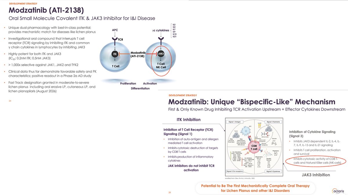HOThomasWPhelps's tweet photo. ITK Inhibitor Selectivity Key to Viral AE Risks
$ACRS $CRVS #ITK #RLK #TXK #JAK
ITK inhibitor drug profiles will likely matter significantly and may be VERY different in virus risk to patients ⤵️
$CRVS ITK-selective inhibitor #soquelitinib - spares key #NK + #Th1 cell types and enhances #CD8+ for viral surveillance - likely low risk for viral AEs
$ACRS oral ITK inhibitors are more potent and less selective, their MOA shown to reduce CD8+, NK cells and Th1 cells which protect against viral infection and thus would expect viral infections (i.e, EBV, Zoster, etc) may emerge with these therapies:
- ATI-2138 #modzatinib tri-inhibitor inhibits ITK/RLK(TXK)/JAK3 and shown to reduce NK and CD8+ cells - likely high risk for viral AEs
- ATI-9494 is a dual ITK/RLK(TXK) inhibitor and reduces Th1, CD8+, NK cells - likely high risk for viral AEs
Understanding MOA differences between ITK inhibitors in development and what T-cell subtypes are being affected will be essential to understanding safety, AE profiles in this developing space.