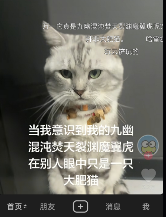 Calob2Fly's tweet photo. 抖音猫猫届又震动了！！! 
继”哈基米“，“耄耋”之后。猫猫们又诞生了新的meme称呼——“焚天裂渊寂灭恐惧战马”  
狗狗名字可以是我朋友名字，但是猫猫名字必须是“焚天裂渊寂灭恐惧战马”  
现在抖音热度火爆，许多网友都在发视频给自己的宠物取名，抽象属性直接拉满！ 
这绝对是下一个meme爆点 https://t.co/fXlr00Wtyd
