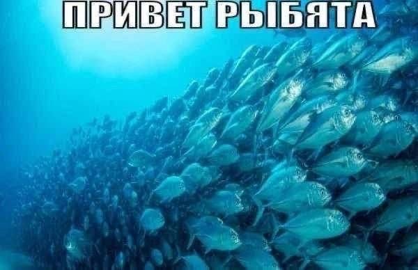 Lotus13333's tweet photo. Почему вы мне не отвечаете пжлст я не хочу публичного позора дайте поговорить https://t.co/4SLWrDwgdC