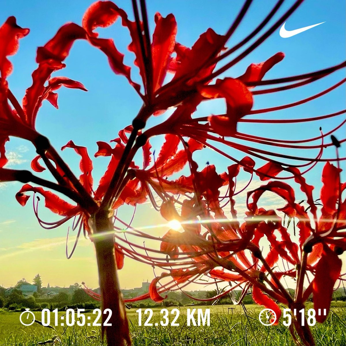gts_GUTS's tweet photo. 夏に逆戻り？朝ラン。
12.32km 1:05:22〜Rope(重） 3,227  0:30:09+ケトルベル3セット。
今朝も暑かったな。しかし、日の出が遅くなった。
寝坊したとて、日の出には間に合う。
#縄跳び
#ランニング https://t.co/Sq5zTqsOg1