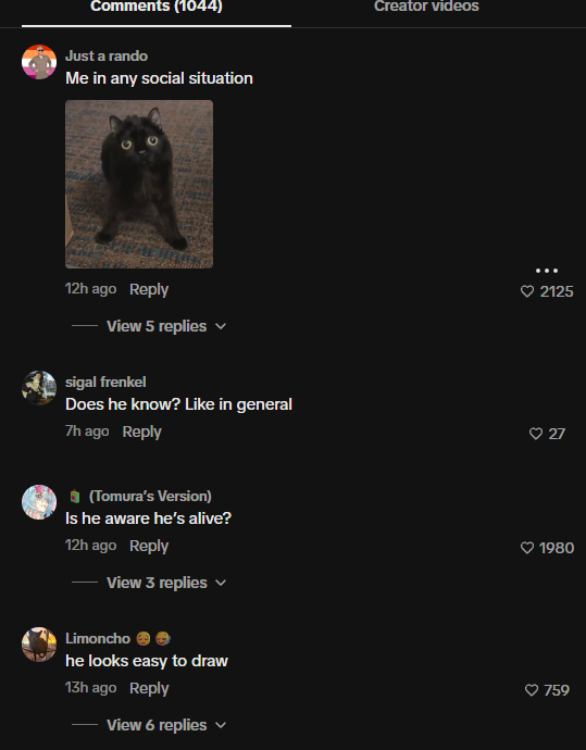 smkrsol's tweet photo. FOUND THE NEXT CAT RUNNER AND ITS MEGA VIRAL 

This cat “Corn” is currently going MEGA viral on TikTok and Instagram, with over 2M views on Instagram and 1M on TikTok in under a day. He’s literally become a MEME because of how insanely unaware he is.

The comments are filled with MEMES and STICKERS of the cat, I can see this becoming something huge.

https://t.co/3LWTdGxMWm (1M views)

https://t.co/ZULrY3aUxr (2M views)