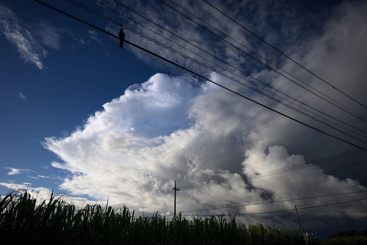 Nitto_Photo's tweet photo. この空が見たいから夏が好き。 https://t.co/nuRUZgEkSR