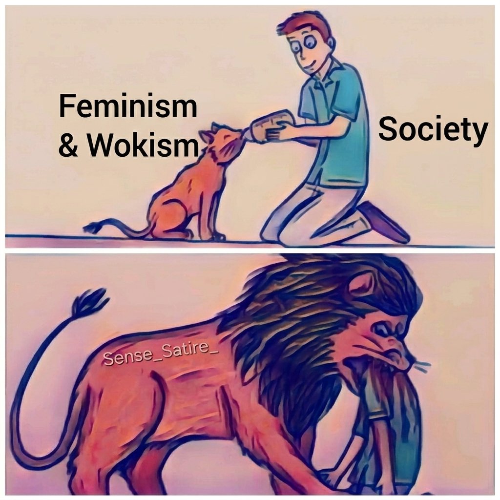 Sense_Satire_'s tweet photo. @libsoftiktok https://t.co/hlASPKrHkl