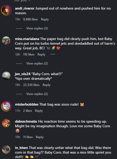 smkrsol's tweet photo. FOUND THE NEXT CAT RUNNER AND ITS MEGA VIRAL 

This cat “Corn” is currently going MEGA viral on TikTok and Instagram, with over 2M views on Instagram and 1M on TikTok in under a day. He’s literally become a MEME because of how insanely unaware he is.

The comments are filled with MEMES and STICKERS of the cat, I can see this becoming something huge.

https://t.co/3LWTdGxMWm (1M views)

https://t.co/ZULrY3aUxr (2M views)