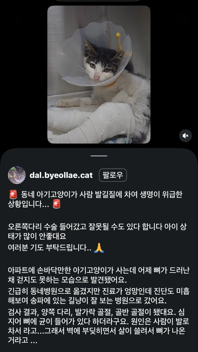 torantommyhopeb's tweet photo. 이런 xxxxx가 🤬 https://t.co/vd9RCauyjX