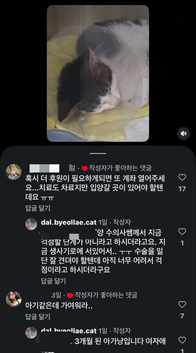 torantommyhopeb's tweet photo. 이런 xxxxx가 🤬 https://t.co/vd9RCauyjX
