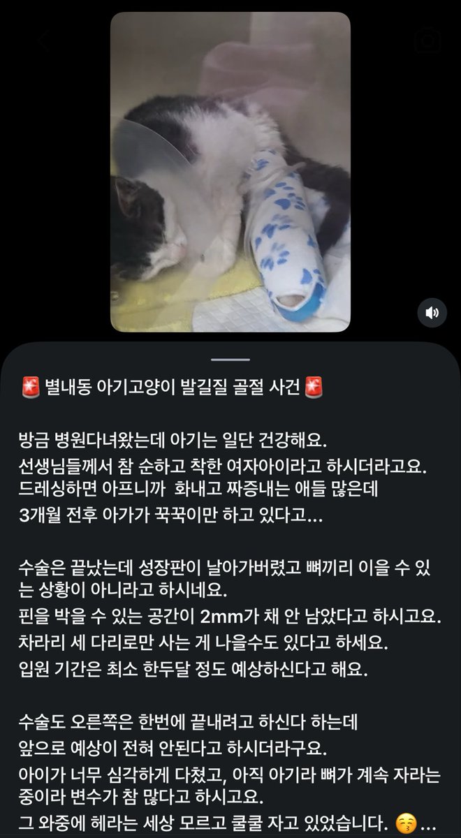 torantommyhopeb's tweet photo. 이런 xxxxx가 🤬 https://t.co/vd9RCauyjX