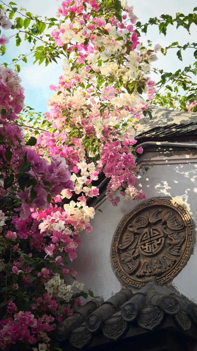 JohnettaUh4dv's tweet photo. ふとした瞬間に心に広がる静寂は、自分でも制御しきれないから困るものです。なんだか、うまく息をするコツを忘れてしまった気分です。 https://t.co/yuiZtoJG68