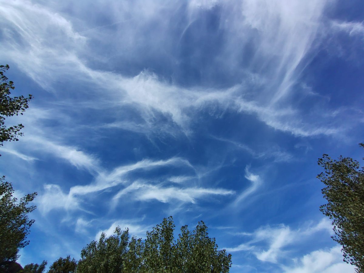MeteoRibes's tweet photo. Celatge de Cirrus fibratus i uncinus a #ribesdefreser.
#valldelsegadell #vallderibes #ripollès https://t.co/D1VbGcBJ19