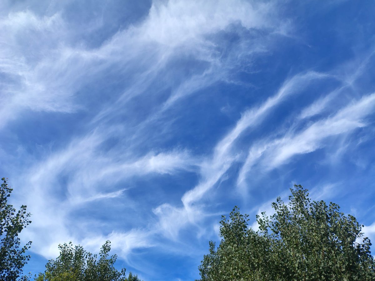 MeteoRibes's tweet photo. Celatge de Cirrus fibratus i uncinus a #ribesdefreser.
#valldelsegadell #vallderibes #ripollès https://t.co/D1VbGcBJ19