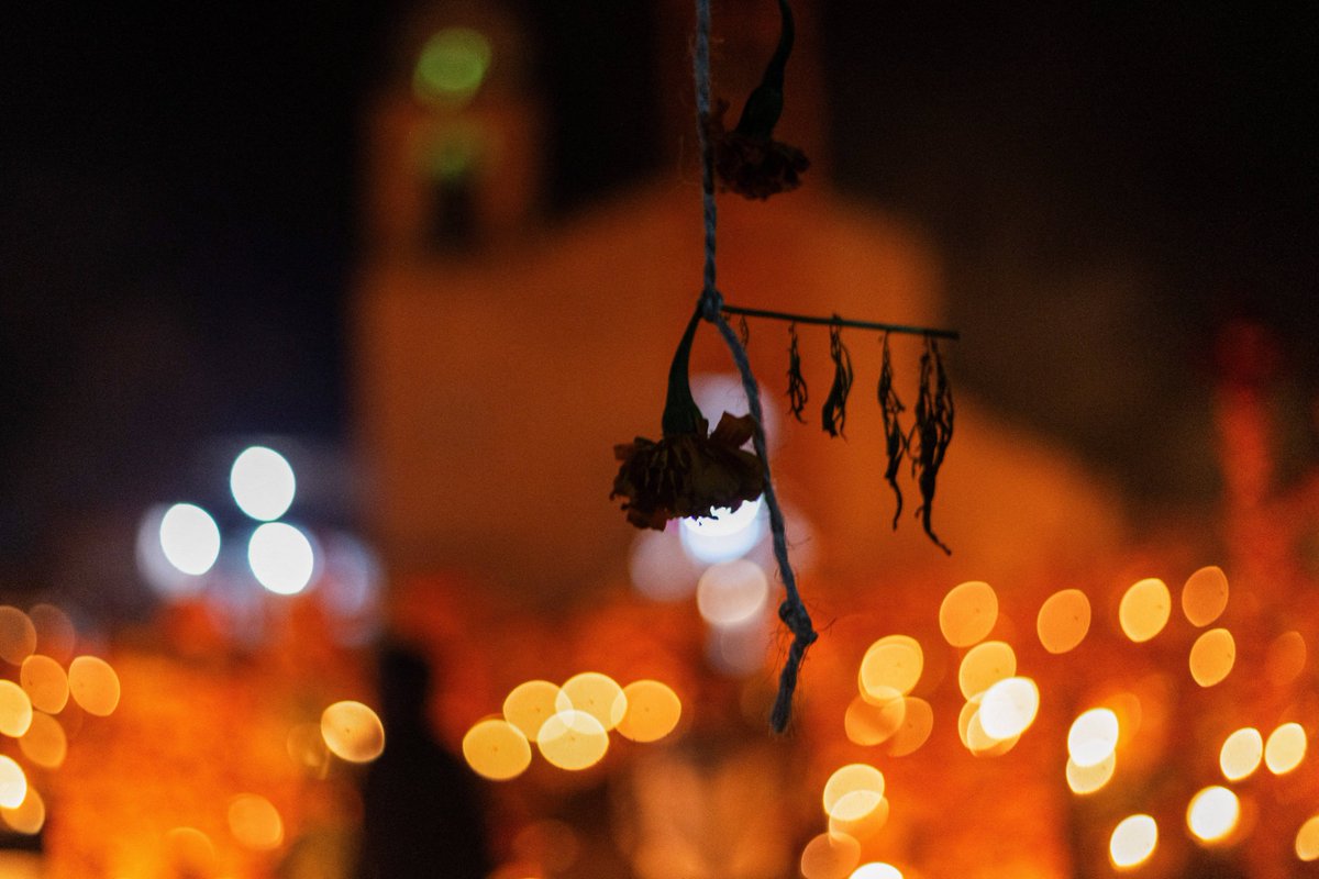 I_fill6's tweet photo. Hoy es Día de los Muertos, flor de cempasúchil en el altar, recuerdos brillan en el corazón!， https://t.co/YAqXLhQCew