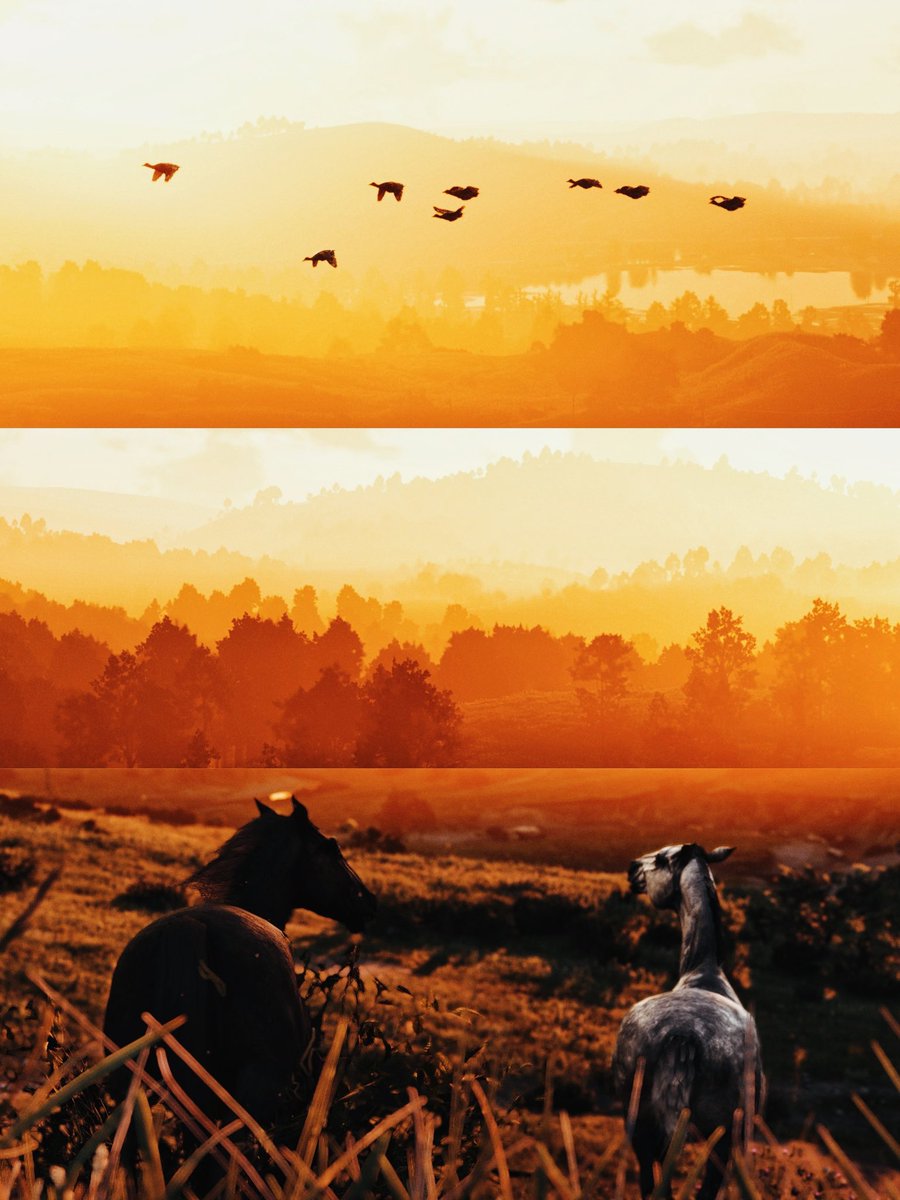 ireenred__'s tweet photo. continuing to explore and capture 🌞🦌

#rdr2 #rockstargames #arthurmorgan #reddeadredemption2 #rdr2fandom https://t.co/BIUkBSlXOE