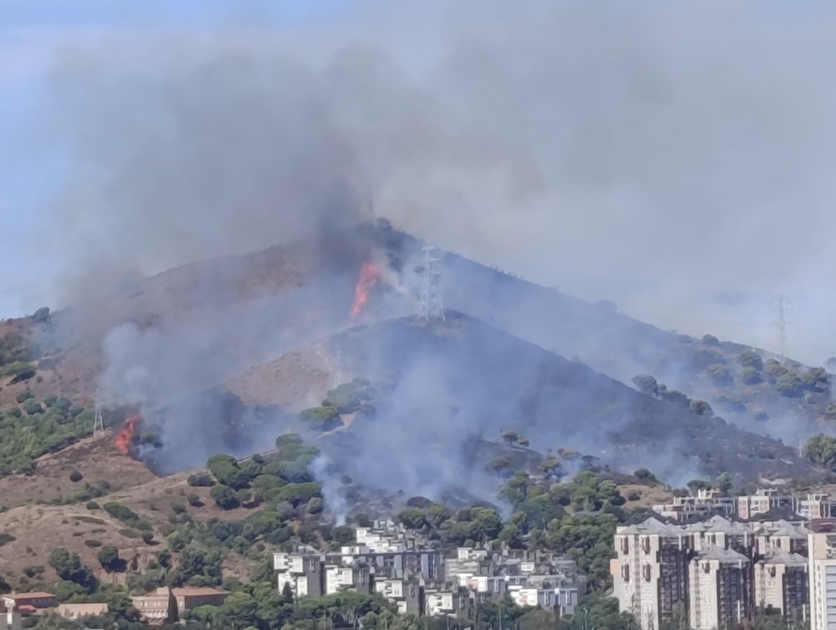 elfemeh's tweet photo. Incendi a #Collserola a la zona de Canyelles/Roquetes vist desde el Carmel @btvnoticies @3CatInfo @LaVanguardiaCAT @elperiodico @ElTiempo_tve @roberto_brasero @aquilatierratve https://t.co/WYgBrGt7cV