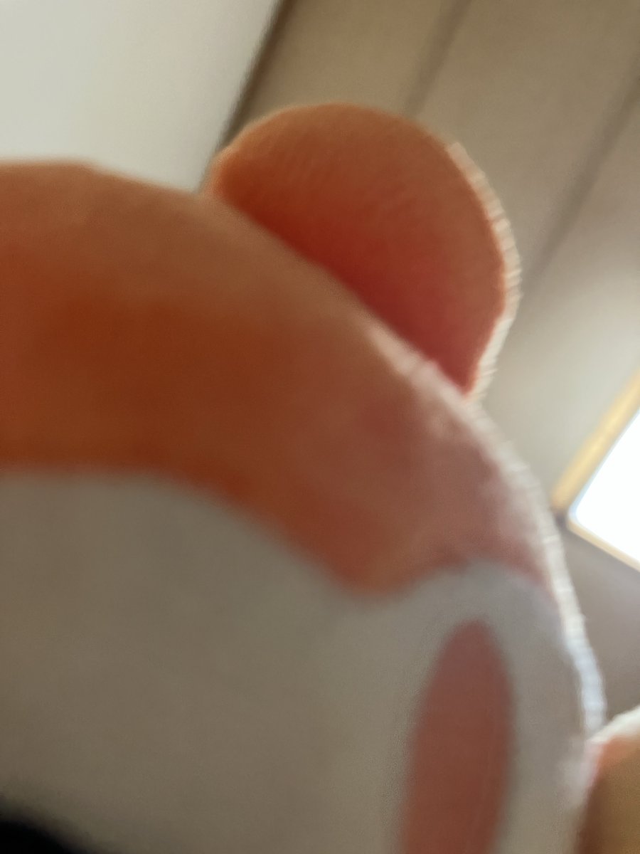 5hanwak_'s tweet photo. ポムポムプリンを投げてる人の真似して写真撮ろうとしたらワドルディに襲われてるみたいなった https://t.co/jWOBvit0iX
