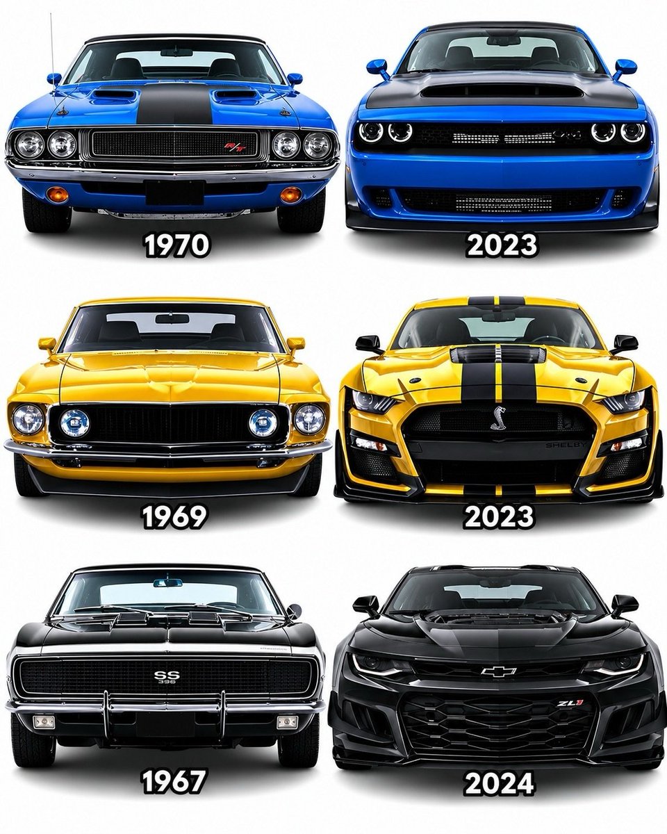 Col2Vintage's tweet photo. Top, Middle or Bottom 🤔 https://t.co/PWRnqrOPac