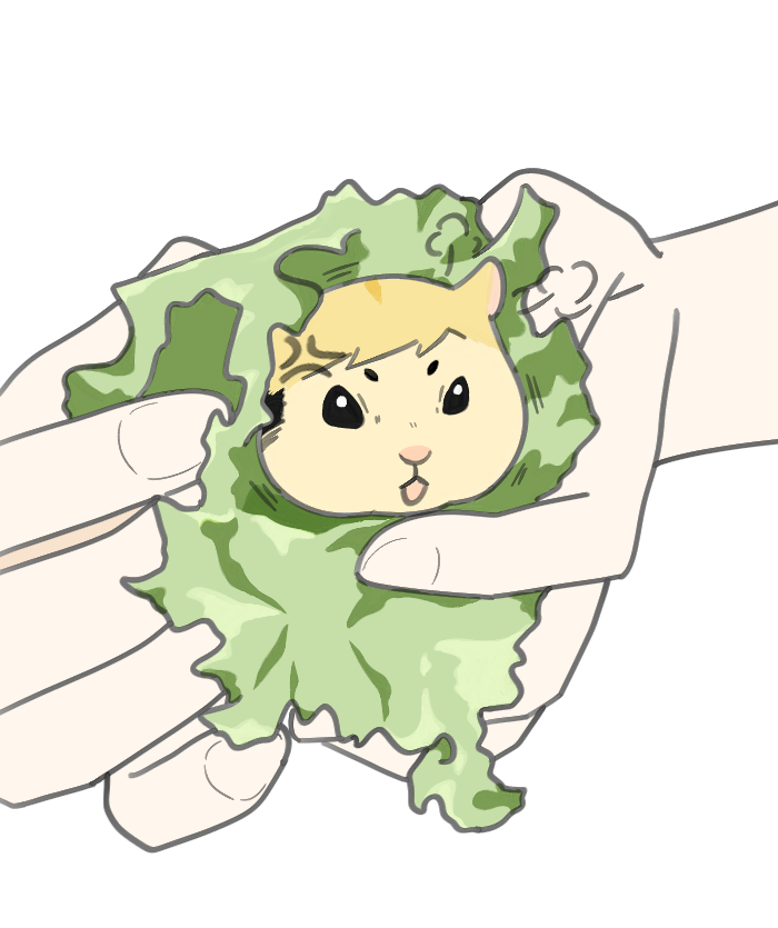 haikyu_9610's tweet photo. 이나리햄 쌈 세트🐹🥬
원하는 맛으로 골라드셔요😌 https://t.co/g22Ca6GgE4