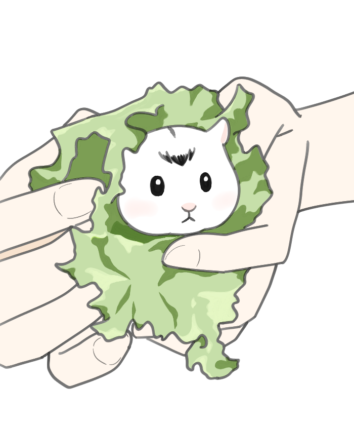 haikyu_9610's tweet photo. 이나리햄 쌈 세트🐹🥬
원하는 맛으로 골라드셔요😌 https://t.co/g22Ca6GgE4