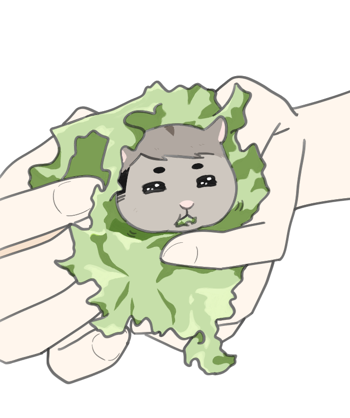 haikyu_9610's tweet photo. 이나리햄 쌈 세트🐹🥬
원하는 맛으로 골라드셔요😌 https://t.co/g22Ca6GgE4