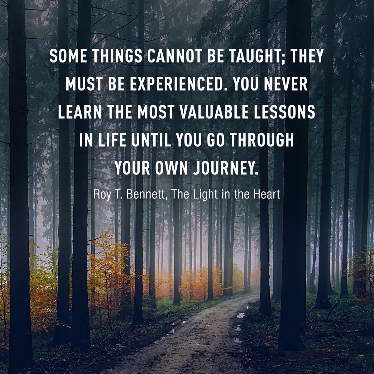 InspiringThinkn's tweet photo. Some things cannot be taught; they must be experienced. You never learn the most valuable lessons in life until you go through your own journey.
Roy T. Bennett, The Light in the Heart https://t.co/W1k8H8dQGp