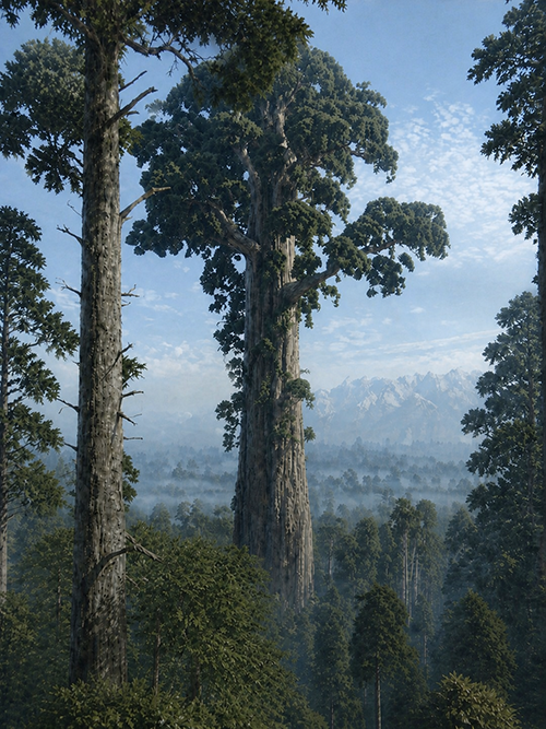 isjuustadream's tweet photo. I don't know if trees have egos but an elder once told me about “shaman trees”.

Something about how the oldest tree in any given forest — which is connected to every other tree through the roots system, mycelium network, chemical signals in the air, etc — has effectively absorbed or acquired the "knowledge" provided by every other tree in the forest over the course of its life, and as such, is acknowledged by the other trees as “the one who knows” (which is itself the definition of the word shaman).

Until, eventually, it dies and the forest organizes its "signal" around a new wise tree where the living, millenary, collective wisdom of the forest will continue.