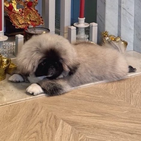 smiilypp's tweet photo. เป๊ะ 💯 https://t.co/0PQdXjR2aK