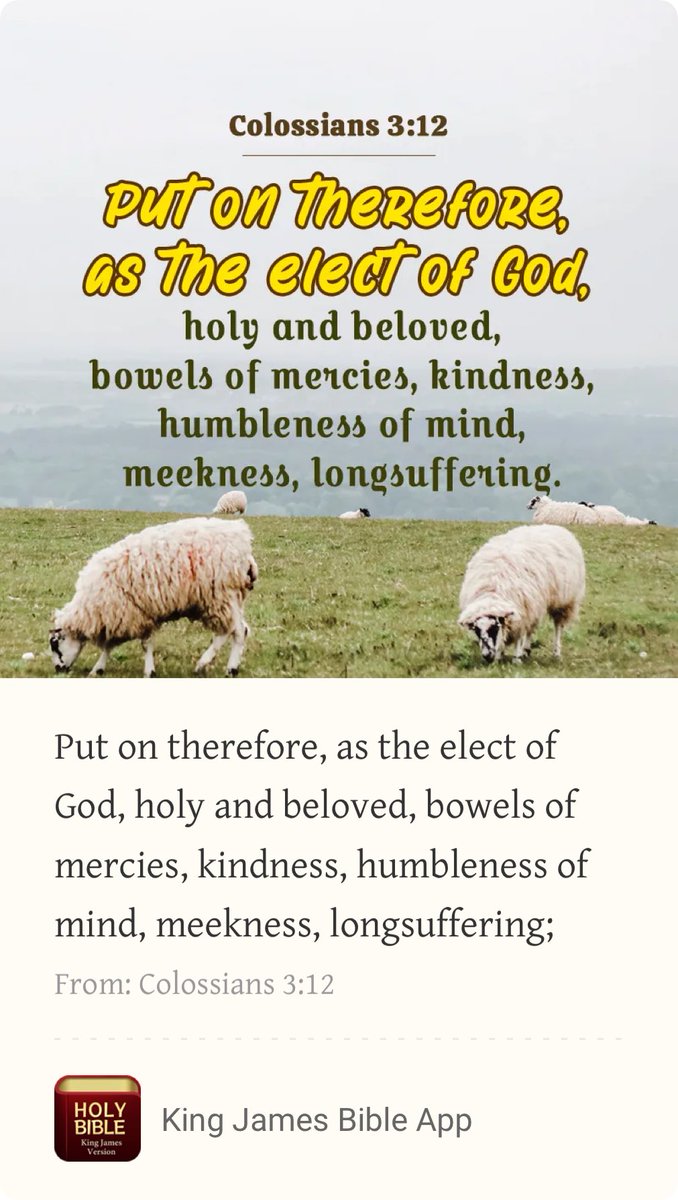 SmoothCalli's tweet photo. As Christians, we have been chosen by God to share His light with the world. Therefore, it is our duty to do it with mercy, kindness, humility, meekness (gentleness), and longsuffering (patience). It reminds me of 1 Colossians 13: 4-5: "Charity suffereth long, and is kind. https://t.co/F3RiS0SpMM