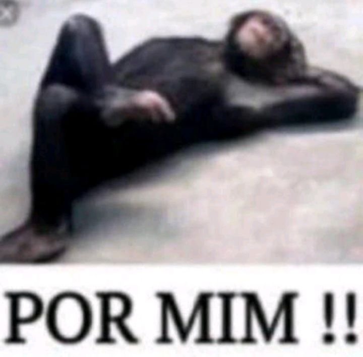 mimyswu's tweet photo. aki eu sou jurídico andre https://t.co/AFD3Tb5vvq