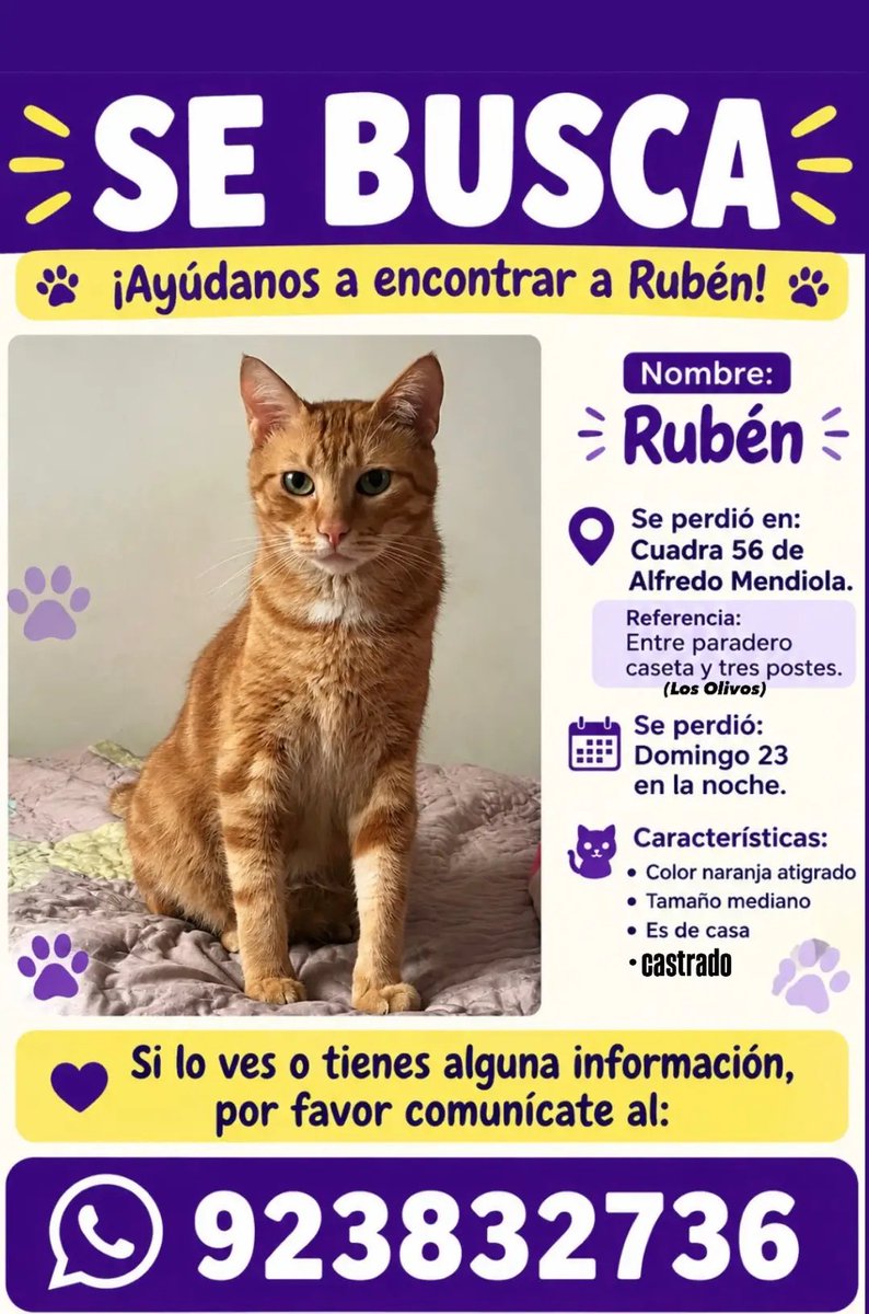 PawFindr's tweet photo. Buscamos a Rubén!🥺🙏 Amigos de los olivos Atentos! ❤️‍🩹 Comparte #pawfindr #mascotasperdidas #nuncadejesdebuscar #mascotas https://t.co/HGaTODLg4k