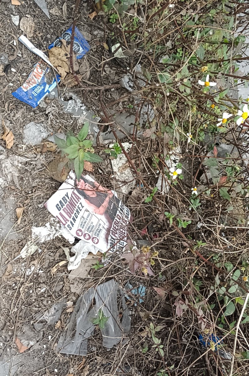 Hechizero_38's tweet photo. Espero que los responsables de ensuciar nuestra ciudad de esta forma tengan dentro de su presupuesto un plan para retirar todo esto de las calles...🫶
@armentapuebla_ https://t.co/pyB8i1H95m