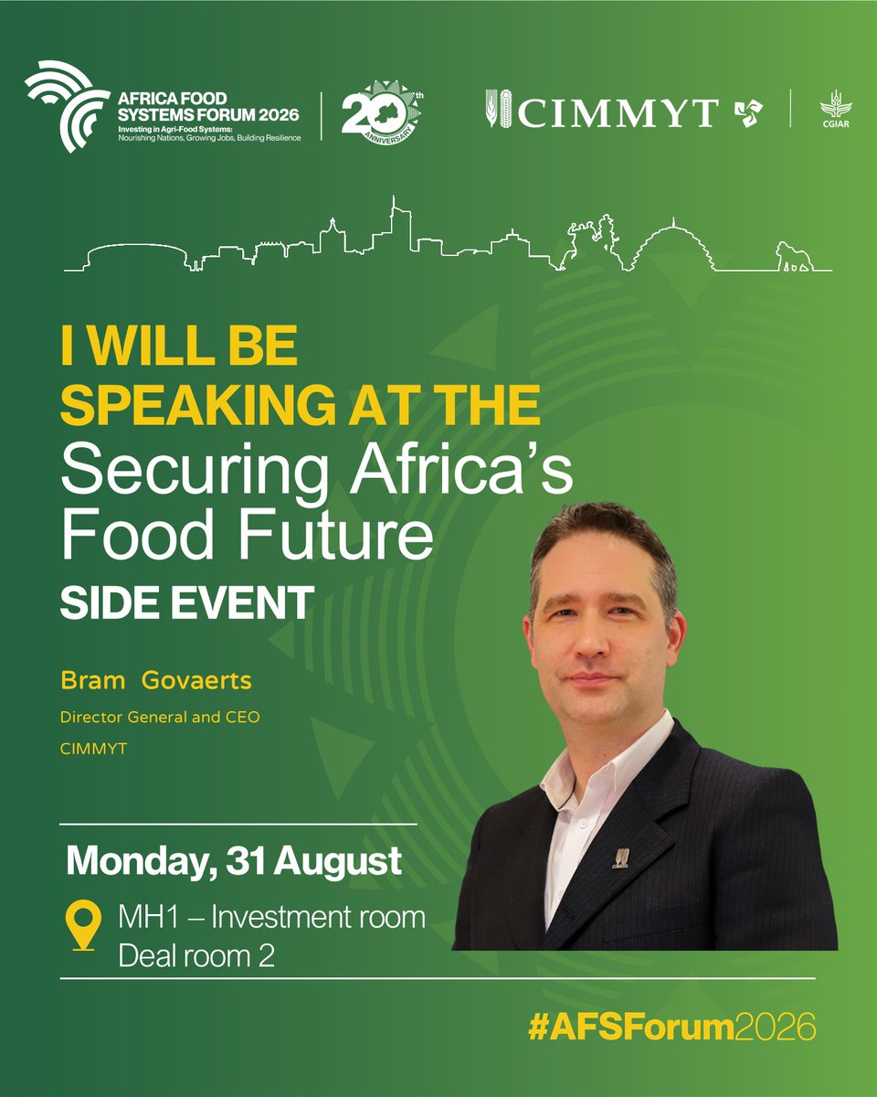 CIMMYT's tweet photo. How can Africa move from repeated crisis response to lasting food security?   
Meet our speakers at #AFSForum! #CIMMYT experts will bring practical solutions and perspectives to identify where action and investment can have the greatest impact.   
Join us
📍 Kigali 
 🗓️August 31 https://t.co/Pggr0wFNEn