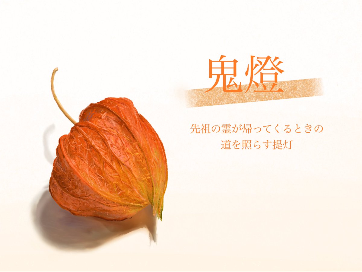 Muukun07250's tweet photo. 鬼燈好きだから描いた

＃植物
＃鬼灯
＃お盆 https://t.co/9iBI0n5HT9