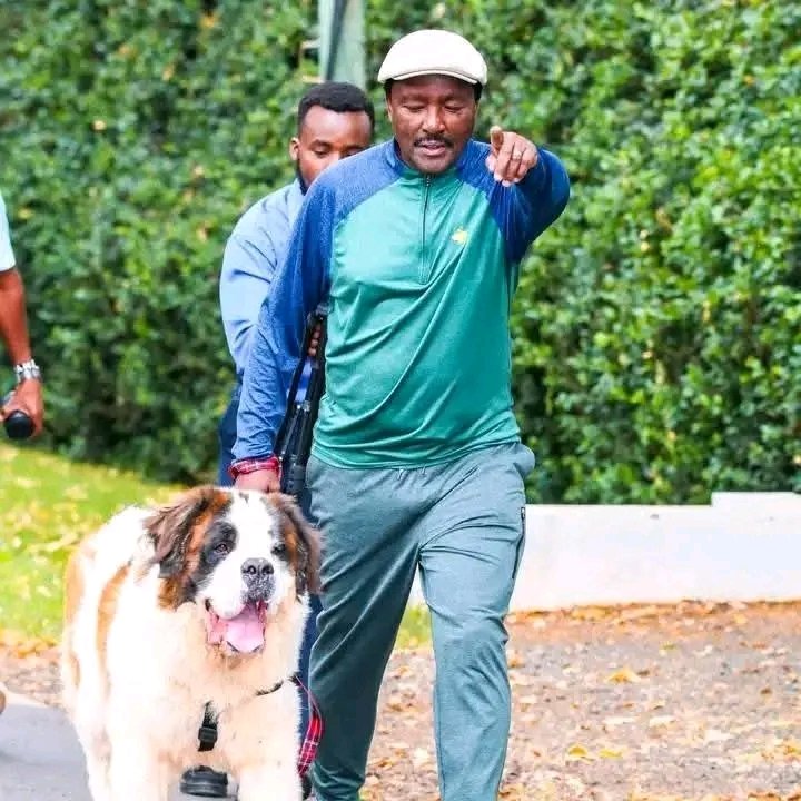 Prezidentjafar's tweet photo. William Ruto 
Kalonzo musyoka 
Rigathi gachagua 

All this people are the same . They will not change Kenya, they only want power to enrich themselves.
They don't care about Kenya and Kenyans.

Infact Kalonzo musyoka cares more about his dogs than Kenyans 😎 https://t.co/BofGhS42vL