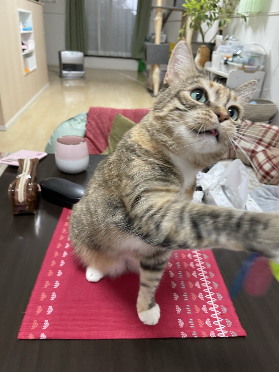 umenoconbu21's tweet photo. ちっさい「th」 https://t.co/0kBysAoJQi