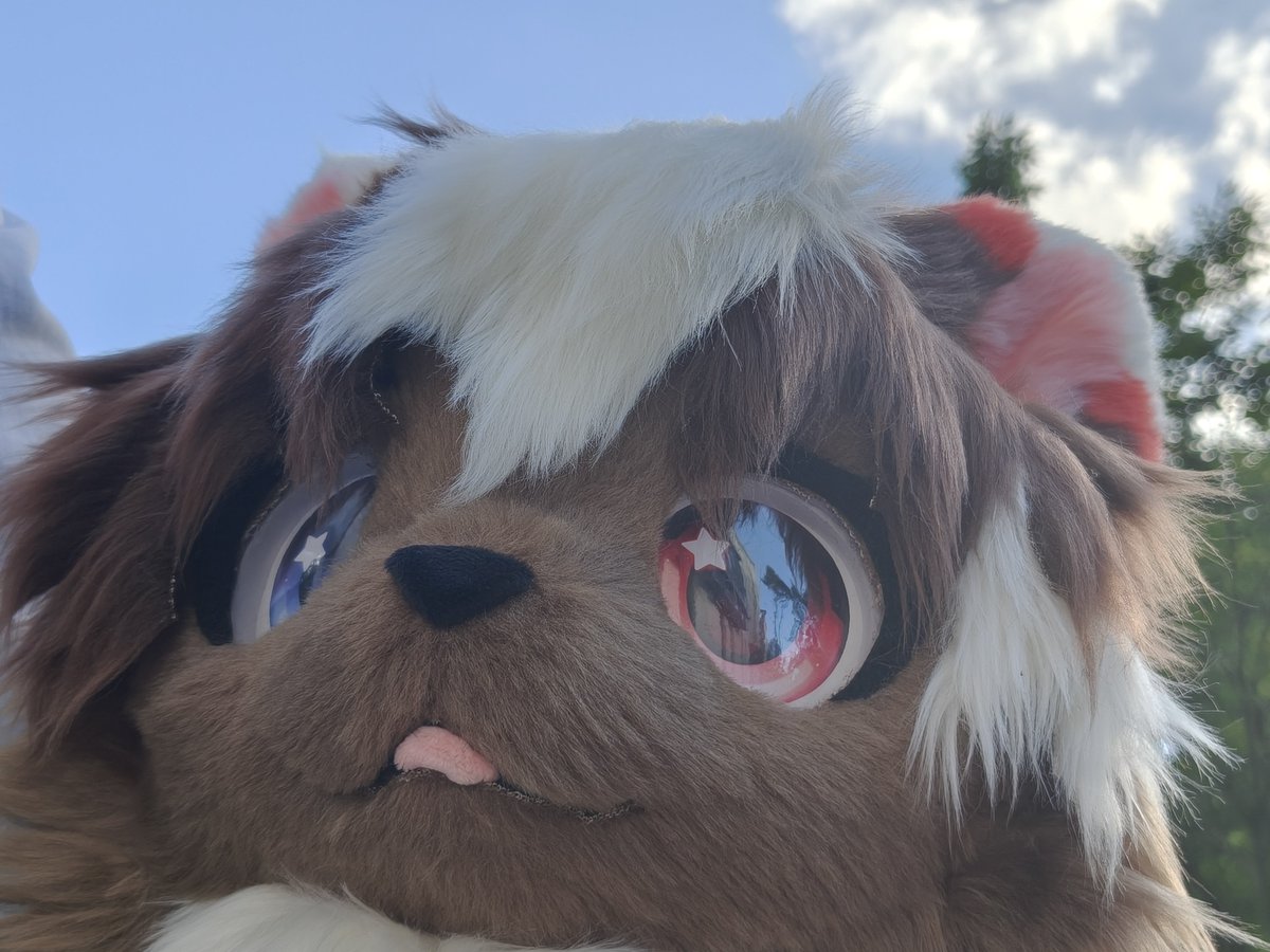 Jam_wolf_Inori's tweet photo. owo https://t.co/c9Mn0ZYVmB
